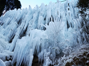 稲武地区の氷瀑
